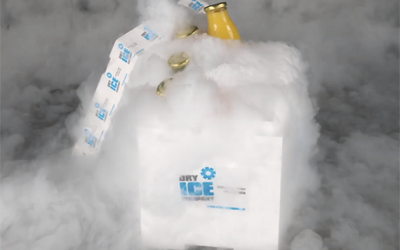 Kühlbox mit Trockeneis / Dry ice cooler